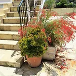 Ammodares Apartamento Lixúri
