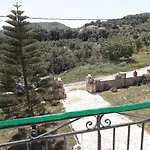 Ammodares * Lixúri