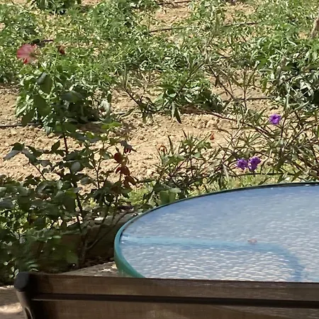 Ammodares Apartamento