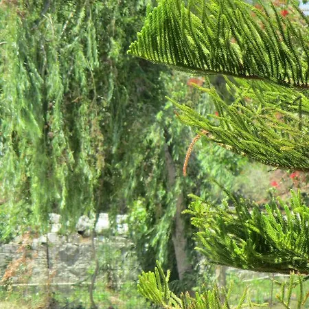 Ammodares Apartamento