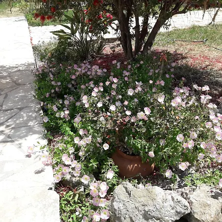 Ammodares Apartamento *