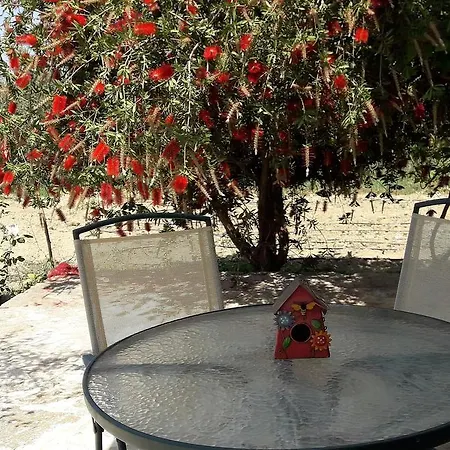 Apartamento Ammodares Lixúri