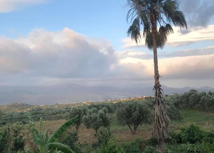Ammodares ליקסורי
