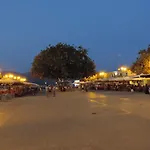 Ammodares
