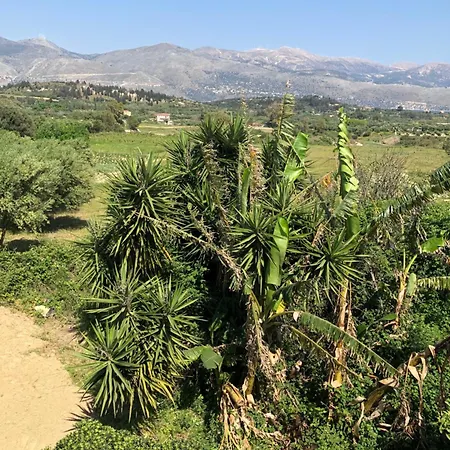 Ammodares Lägenhet Lixouri