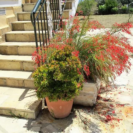 Ammodares Lägenhet Lixouri