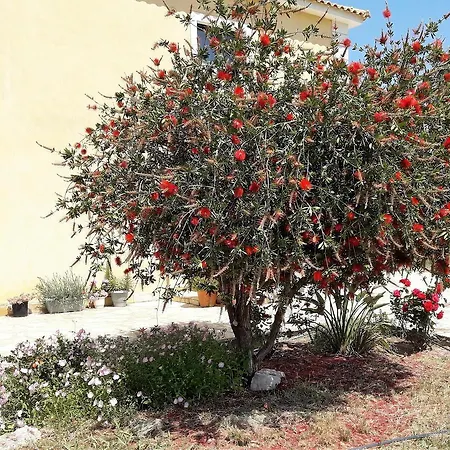 Apartment Ammodares Lixouri